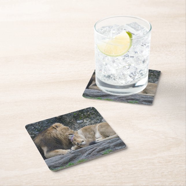 Mighty Lion Love Square Paper Coaster (Insitu)