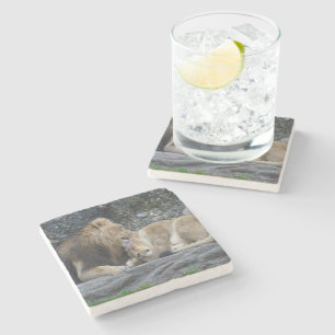 Mighty Lion Love Stone Coaster