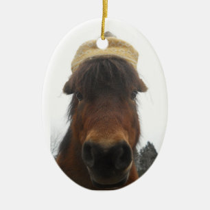 Mighty Mini Ornament