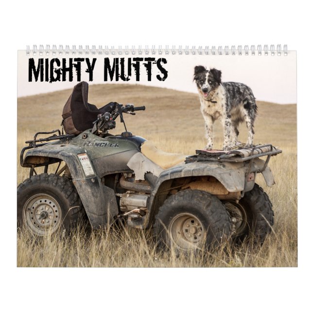 Mighty Mutts Active Dogs Calendar (Cover)