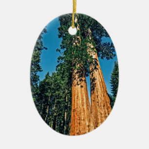 Mighty Redwood Ceramic Tree Decoration