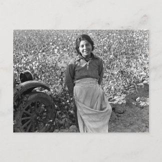 Migrant Worker next to a Cotton Field Postcard