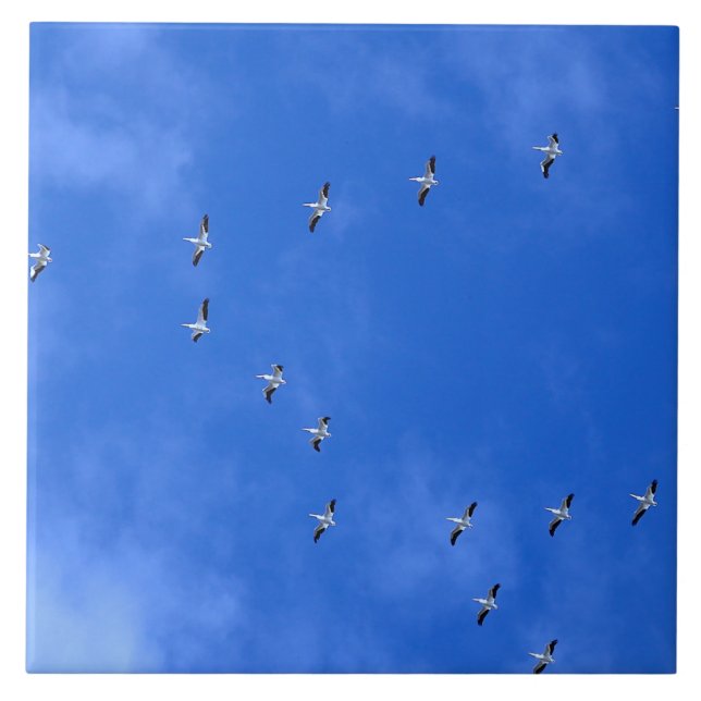 Migrating birds ceramic tile (Front)