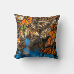 Migrating monarch butterflies cling to leaves cushion