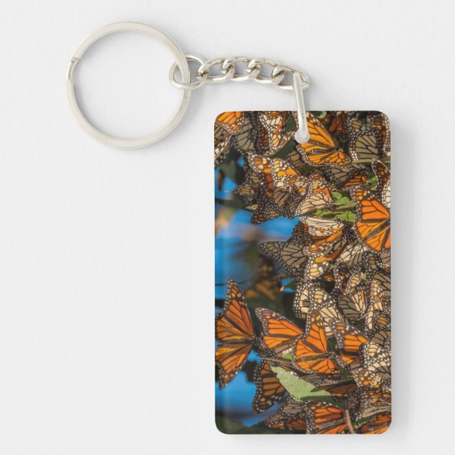 Migrating monarch butterflies cling to leaves key ring (Front)