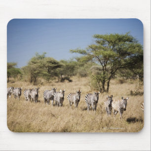 Migrating zebra, Tanzania Mouse Pad