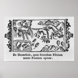 Migration of lemmings poster