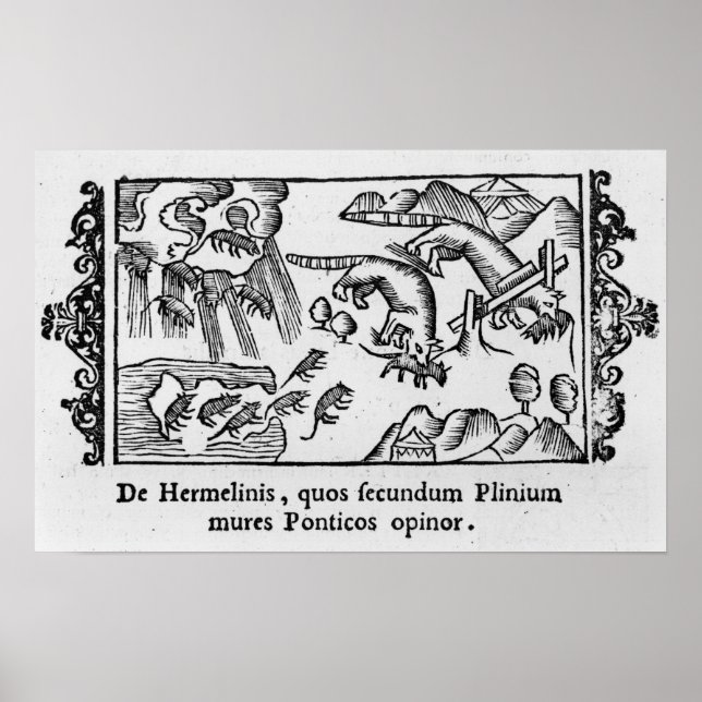 Migration of lemmings poster (Front)