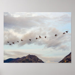 Migration of the Birds // Nature Photography Poster