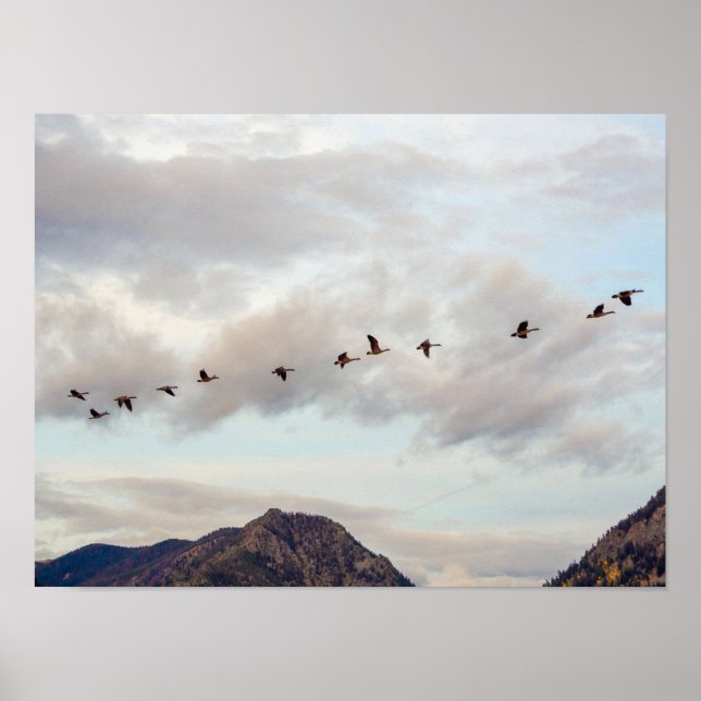 Migration of the Birds // Nature Photography Poster (Front)