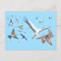 Migratory birds tracing their flights Illustration