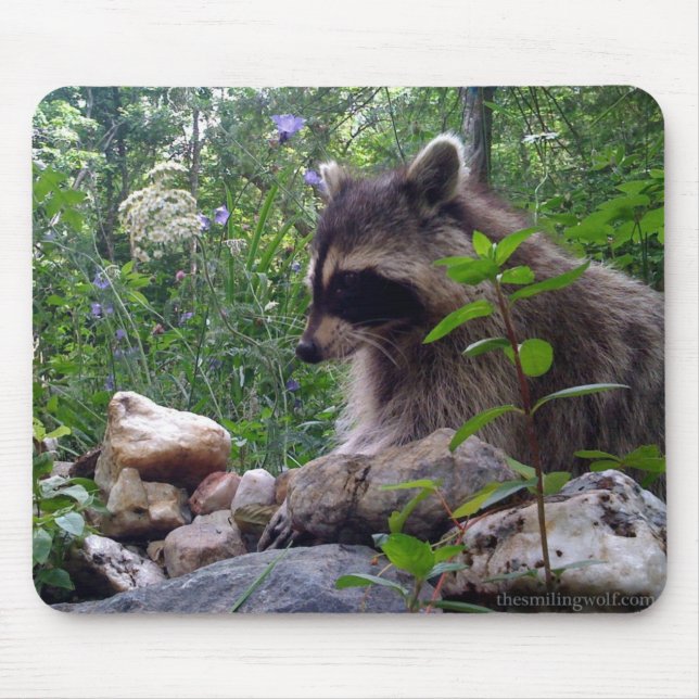 Mika the Racoon Mouse Pad (Front)