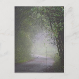 Mikado pheasant postcard