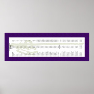 Mike Ford Transmission Scroll Poster