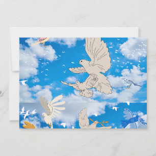 Mikitiez white bird blue sky summer beach freedom invitation