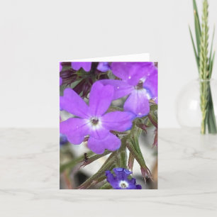 Mildred The Ant 🐜 Looks Up Thank You Card