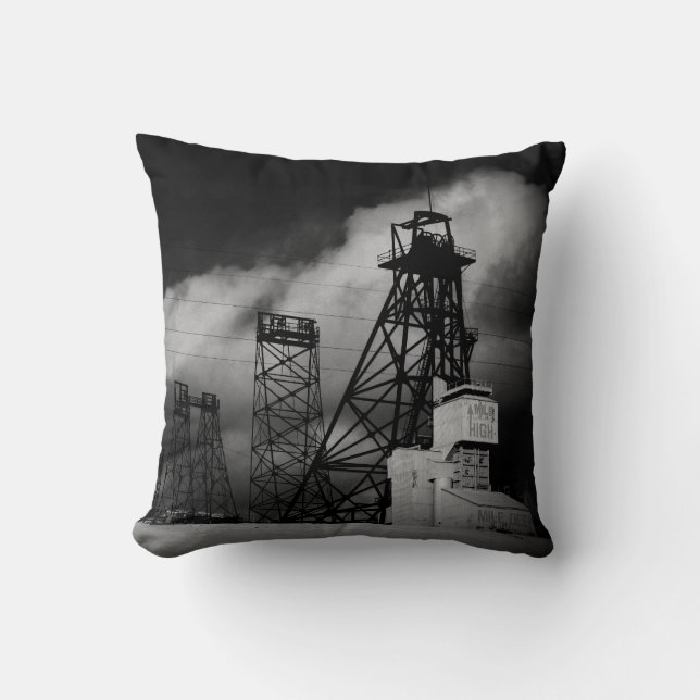 Mile High Mile Deep Cotton Throw Pillow (Front)