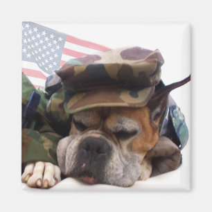 Military boxer Dog magnet