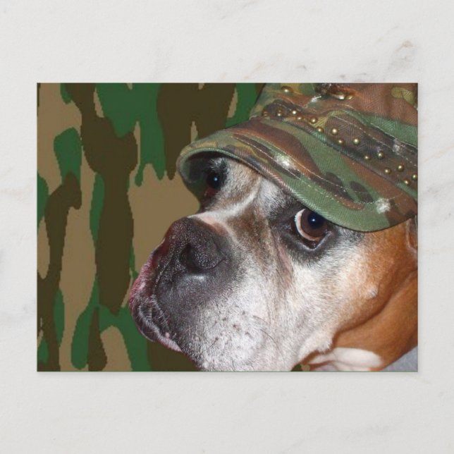 Military Boxer dog postcard (Front)