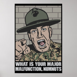 Military Drill Sergeant Motivantional Poster