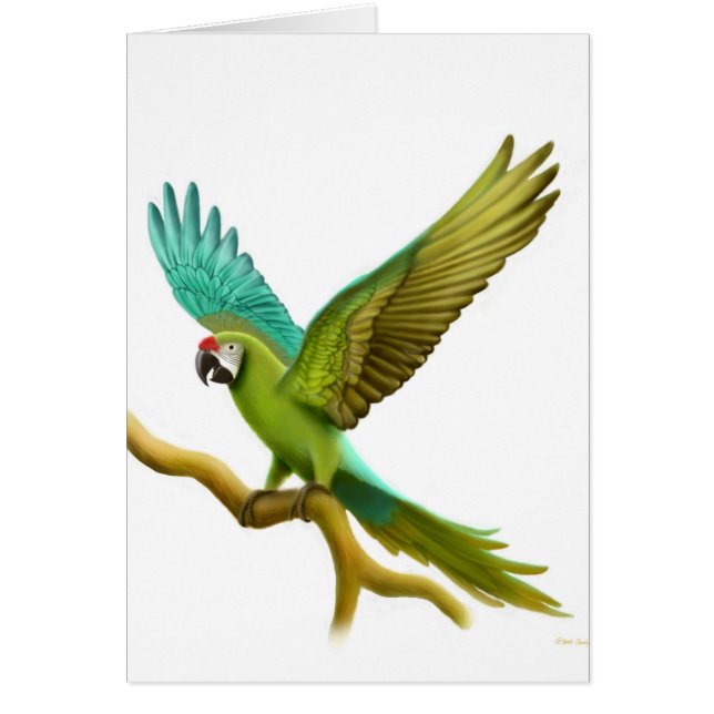 Military Macaw Card (Front)