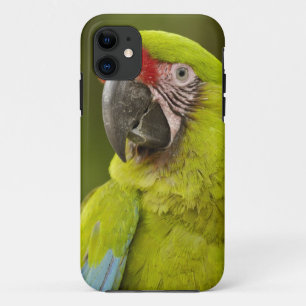 Military Macaw iPhone 11 Case