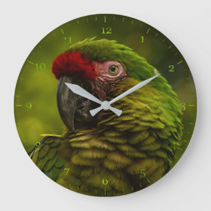 Military Macaw green Parrot Large Clock
