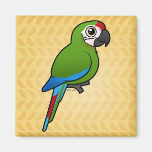 Military Macaw Magnet
