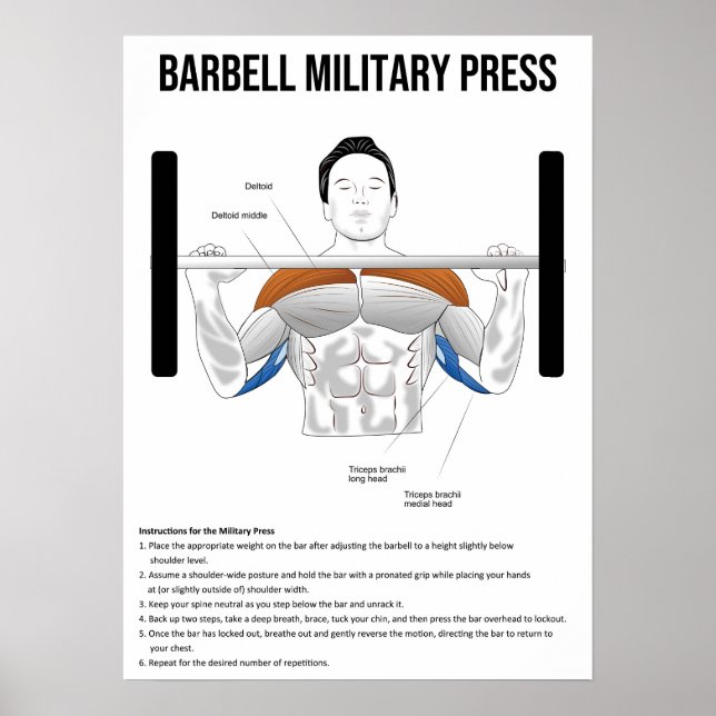 Military Press - Exercise - Muscle Anatomy Chart (Front)