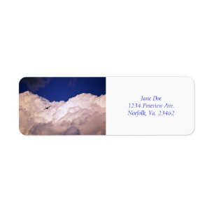 Military Transport Aeroplane by Shirley Taylor Return Address Label