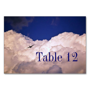 Military Transport Aeroplane by Shirley Taylor Table Number