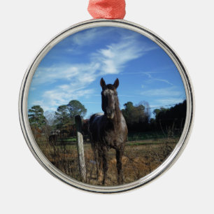 Milk Chocolate Brown Horse in Blue Metal Ornament