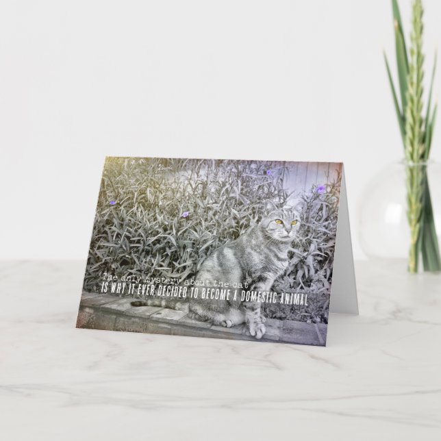 MILK FOR THE CAT Greeting Card (Front)