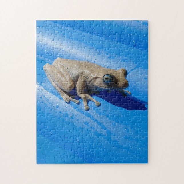 Milk Frog on a Blue Pool Float Jigsaw Puzzle (Vertical)