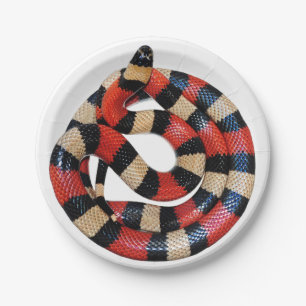 Milk snake paper plate