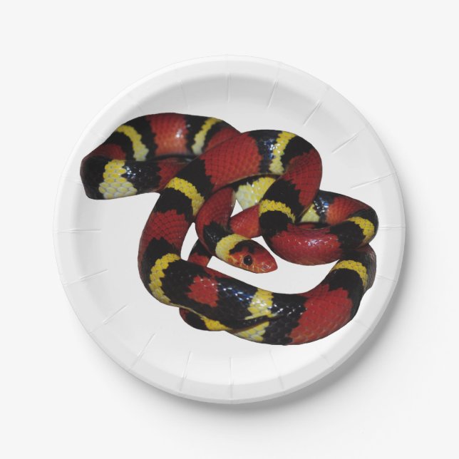 Milk snake paper plate (Front)