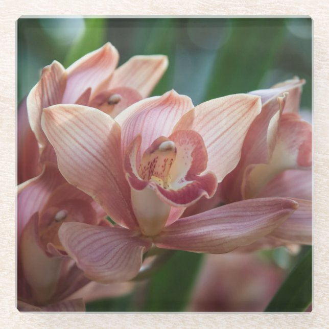 Milk Tea Orchid Glass Coaster (Front)