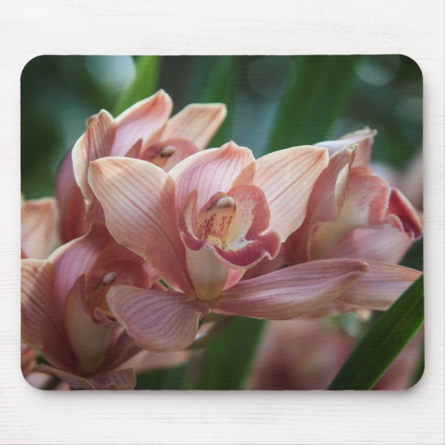 Milk Tea Orchid Mouse Pad (Front)