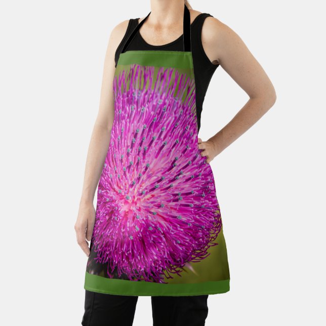Milk thistle closeup apron (Insitu)
