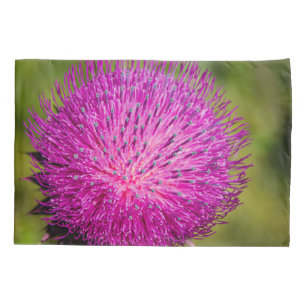 Milk thistle closeup pillowcase
