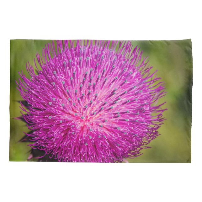 Milk thistle closeup pillowcase (Back)