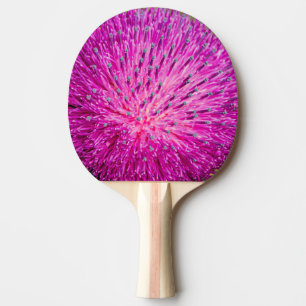 Milk thistle closeup ping pong paddle
