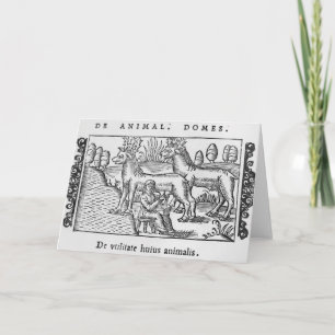 Milking reindeers holiday card