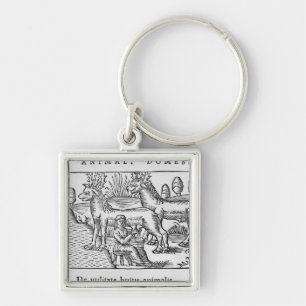 Milking reindeers key ring