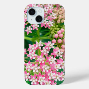 Milkweed aka Asclepias Summer Blooms iPhone 15 Case