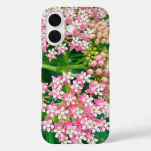 Milkweed aka Asclepias Summer Blooms iPhone 16 Case