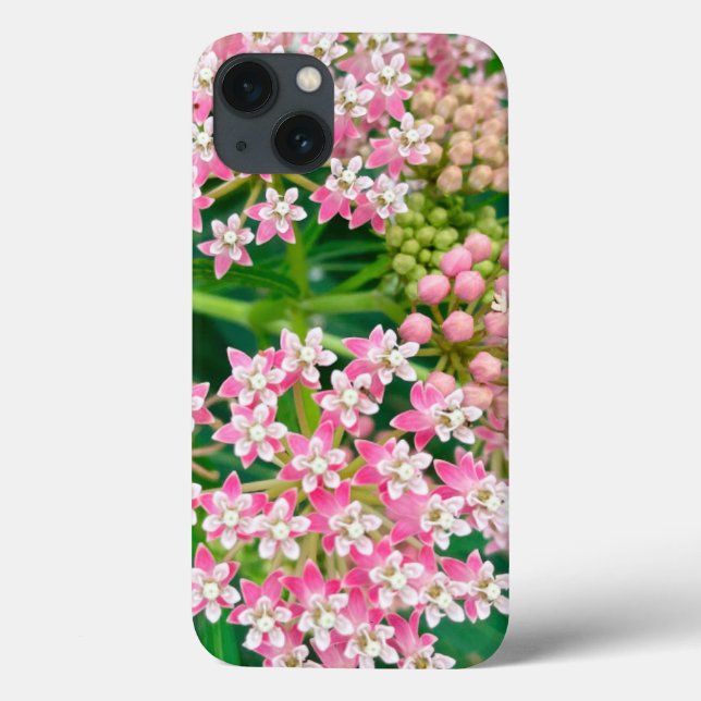 Milkweed aka Asclepias Summer Blooms  Case-Mate iPhone Case (Back)
