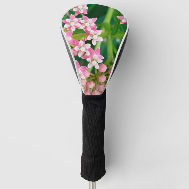 Milkweed aka Asclepias Summer Blooms   Golf Head Cover (Front)