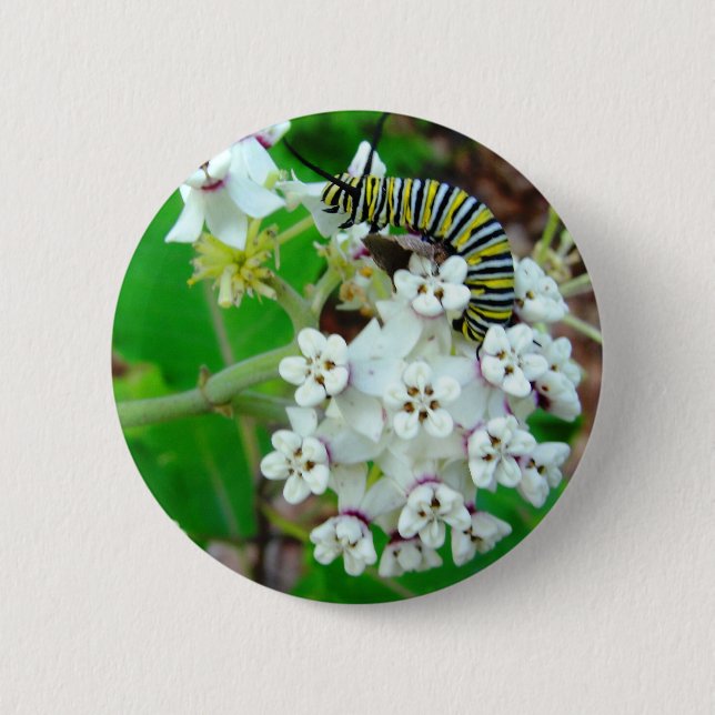 Milkweed and Monarch 6 Cm Round Badge (Front)