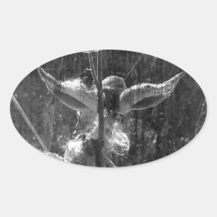 Milkweed Black and White Grunge Oval Sticker